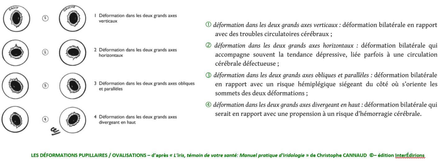 Planche d’iridologie — page 549